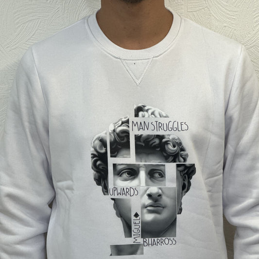 FELPA GIROCOLLO " DAVID" PANNA