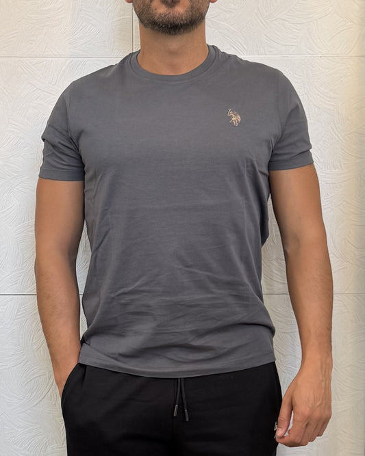 T-SHIRT M.CORTA " LUCA 154013" GRIGIA